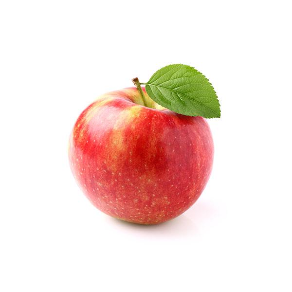תפוח עץ יונתן 