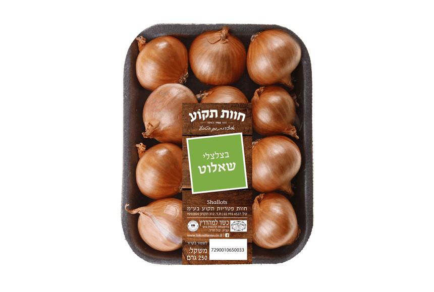 בצל שאלוט