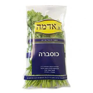 כוסברה ארוז