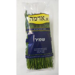 שמיר ארוז