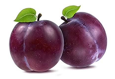 שזיף ישראלי