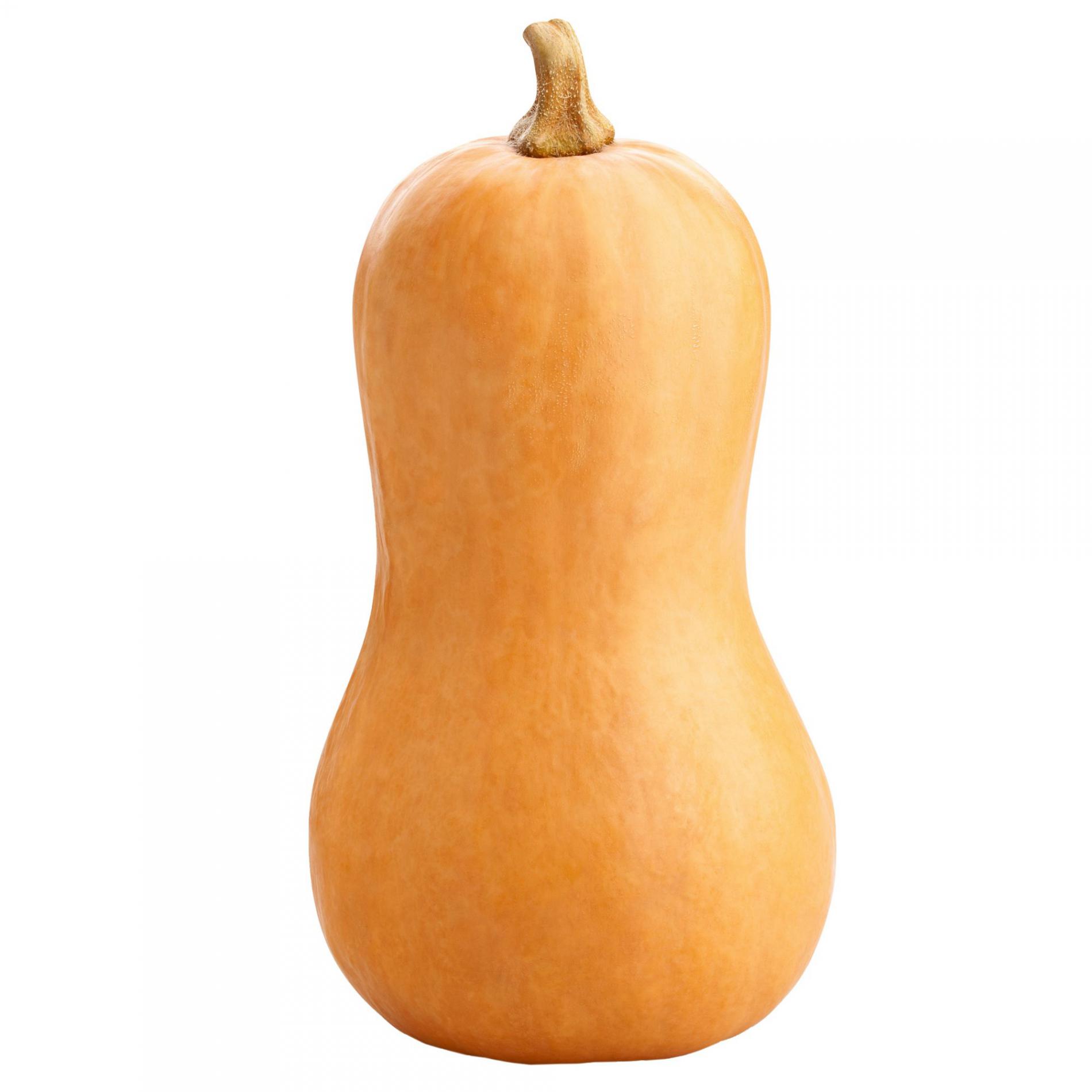 דלורית
