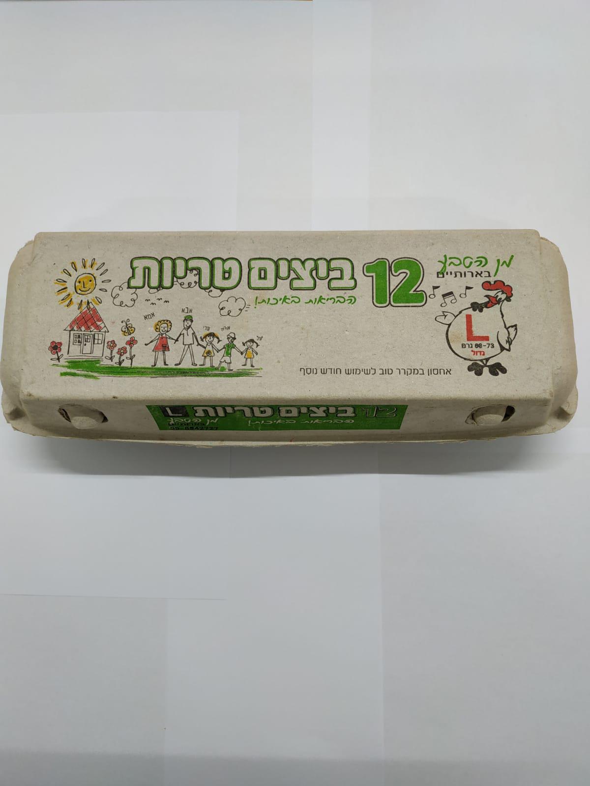 תבנית ביצים קטנה L