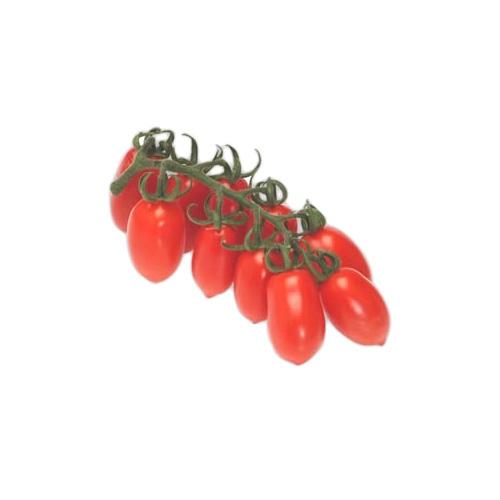 עגבניות שרי תמר על אשכול (לובלו) ארוזות בנספק