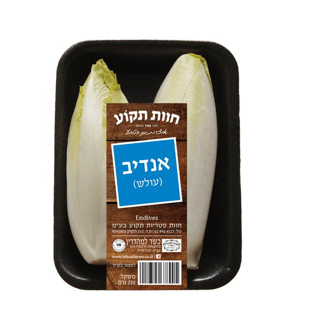 אנדיב