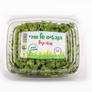 נבטי קייל אורגניים