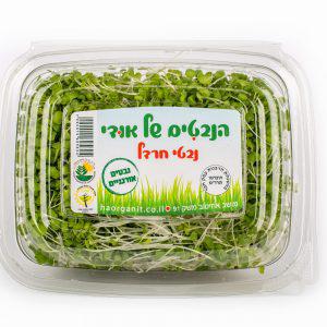 נבטי חרדל אורגניים