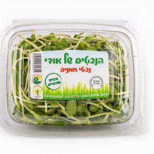 נבטי חמנייה אורגניים