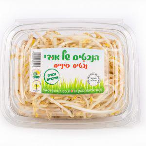 נבטים סינים אורגניים