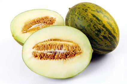 מלון ספרדי גידול ישראלי
