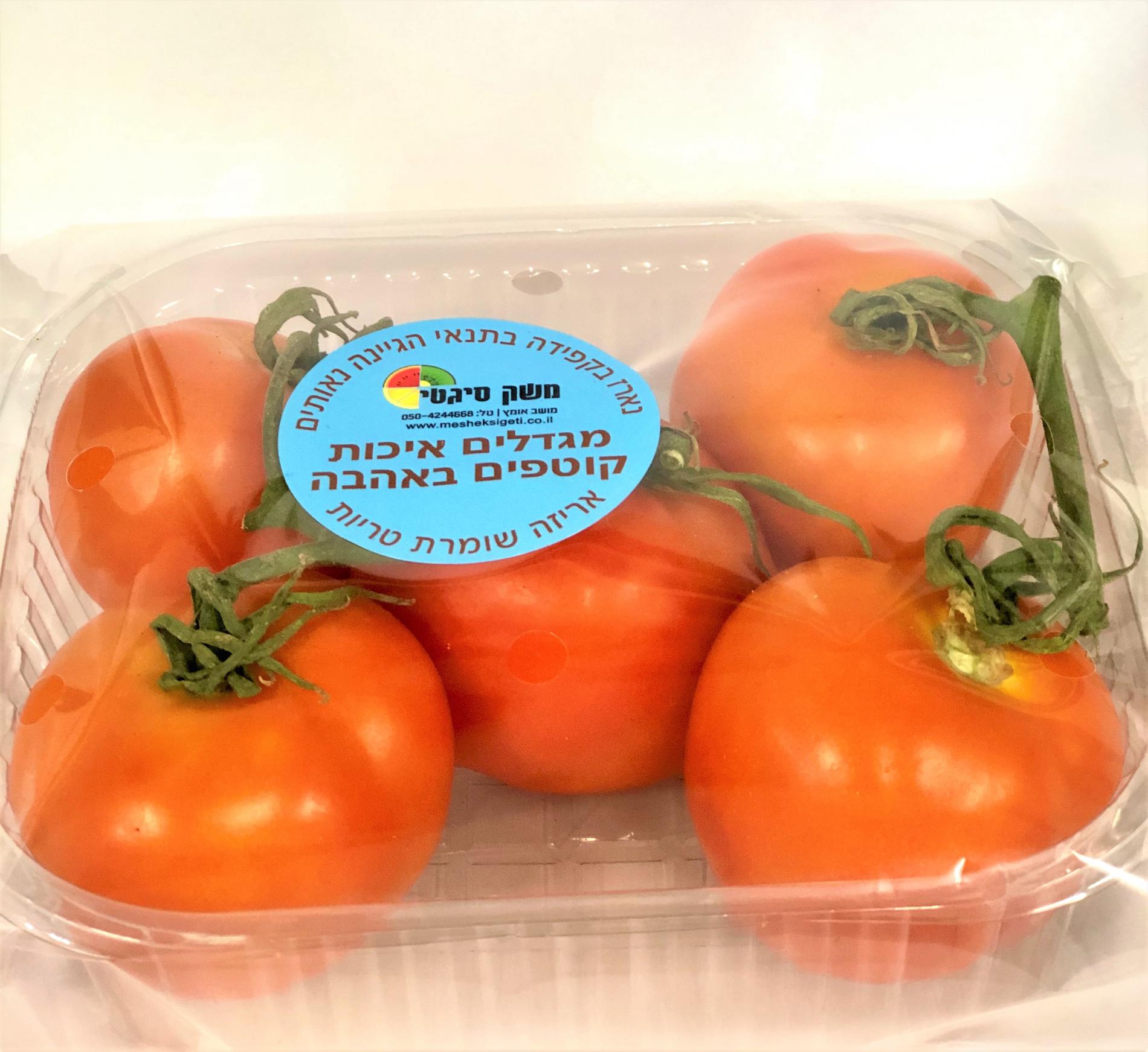עגבניית אשכול