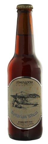 בירה עמק האלה חיטה בווארית