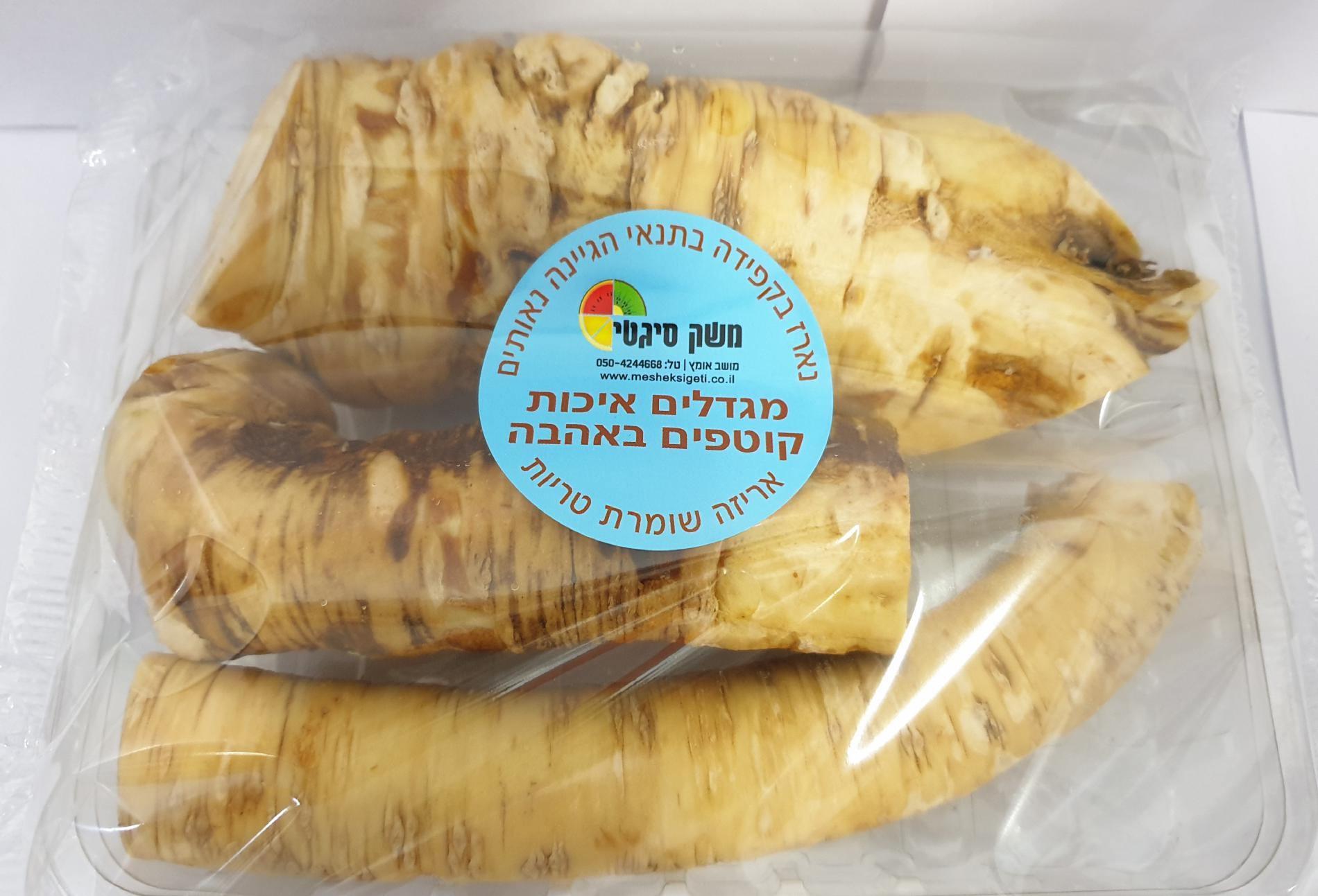 מארז שורש חזרת