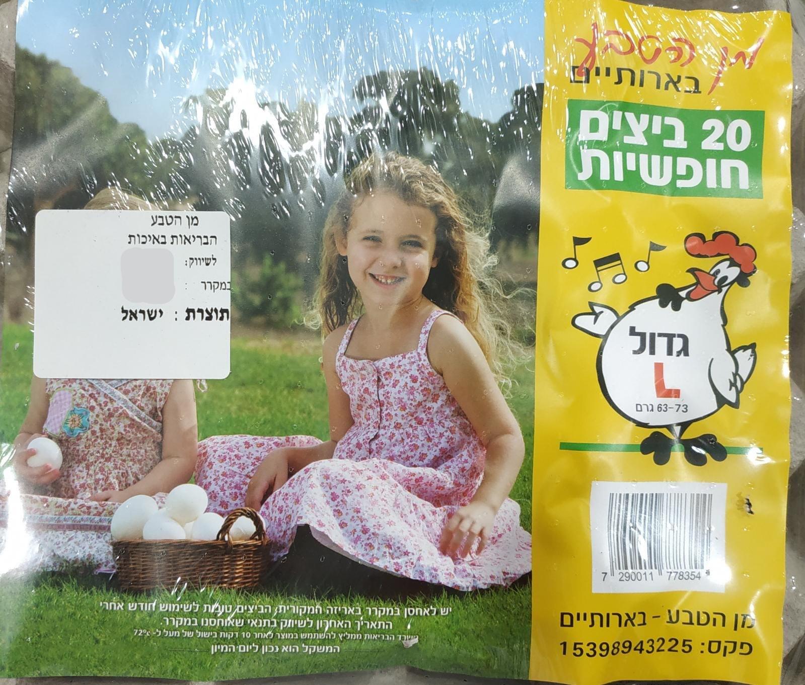 תבנית ביצי חופש גדולה L